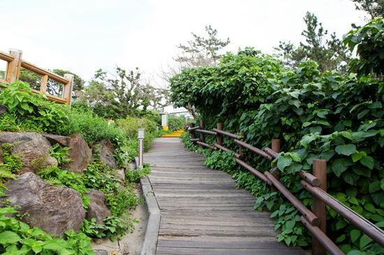 Haeansung Pension Согвипхо Экстерьер фото